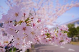 IMG_0551.jpeg