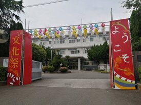 4323.jpg